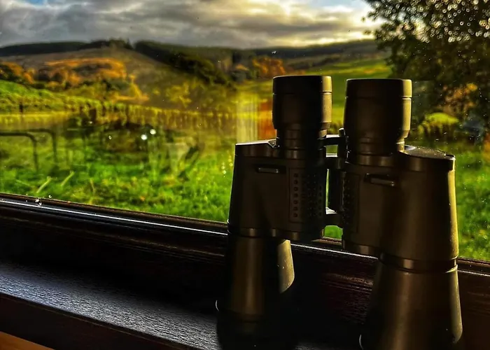 Best Hotels in Dalmellington